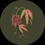 Reviews Highlight